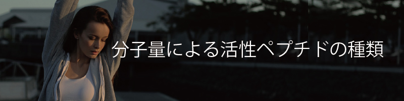 分子量による活性ペプチドの種類
